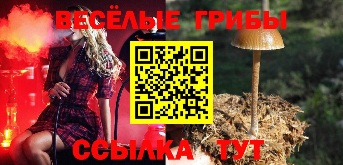 Псилоцибиновые грибы ЛСД Северобайкальск