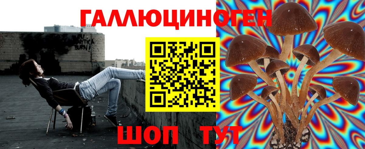 Северобайкальск  Псилоцибиновые грибы мухоморы  Псилоцибиновые грибы ЛСД  Вход с VPN 